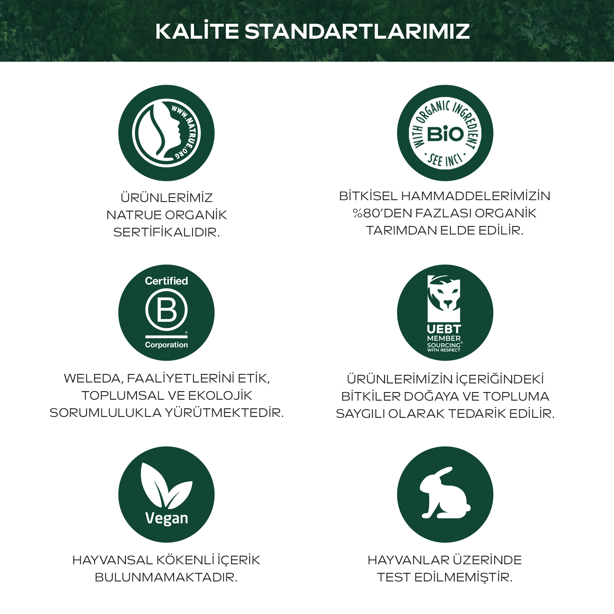Weleda Hydro Shine Hydration Shampoo Organik Işıltı Veren Nemlendirici Şampuan 250ml - 5