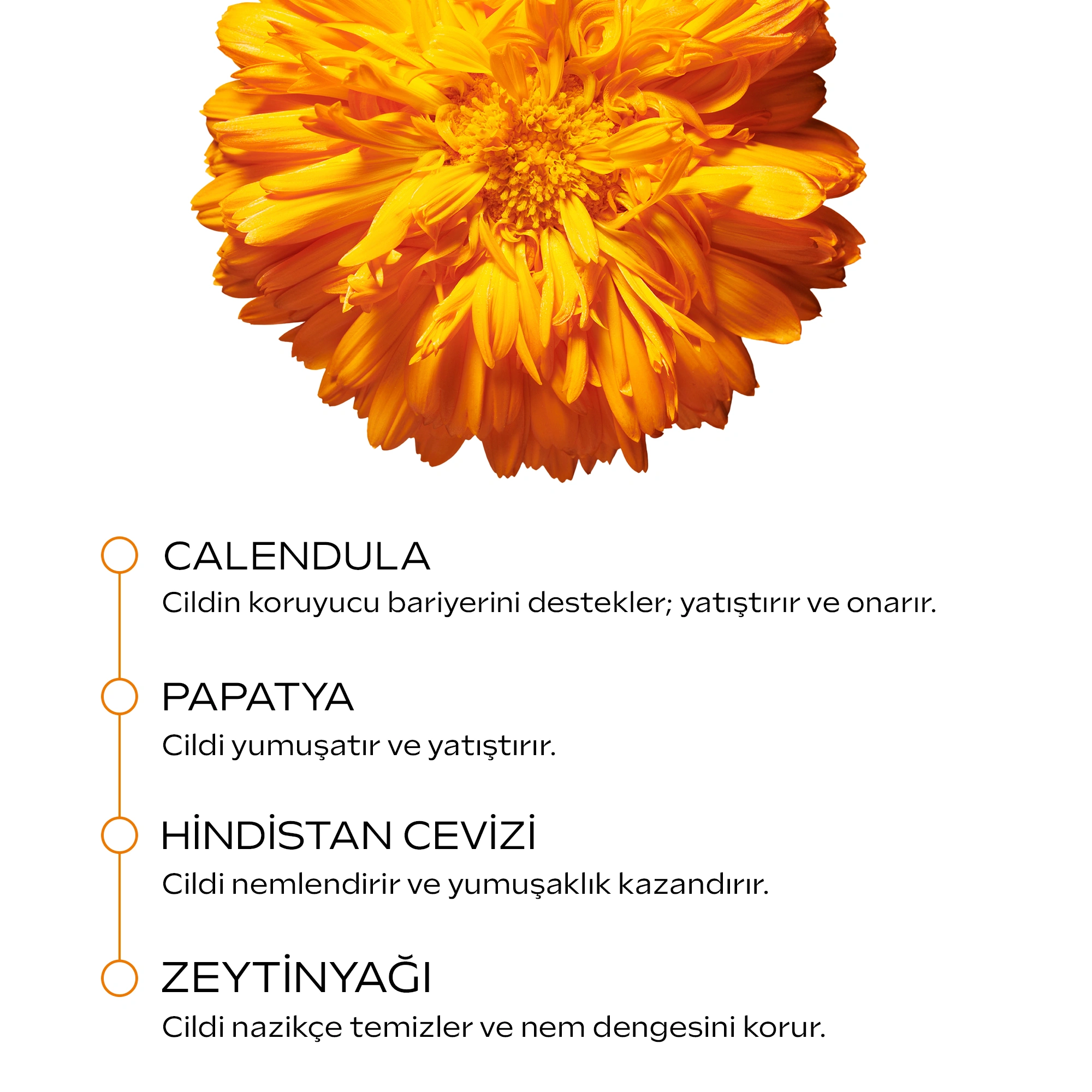 Weleda Calendula Özlü Bitkisel Sabun 100gr - 3