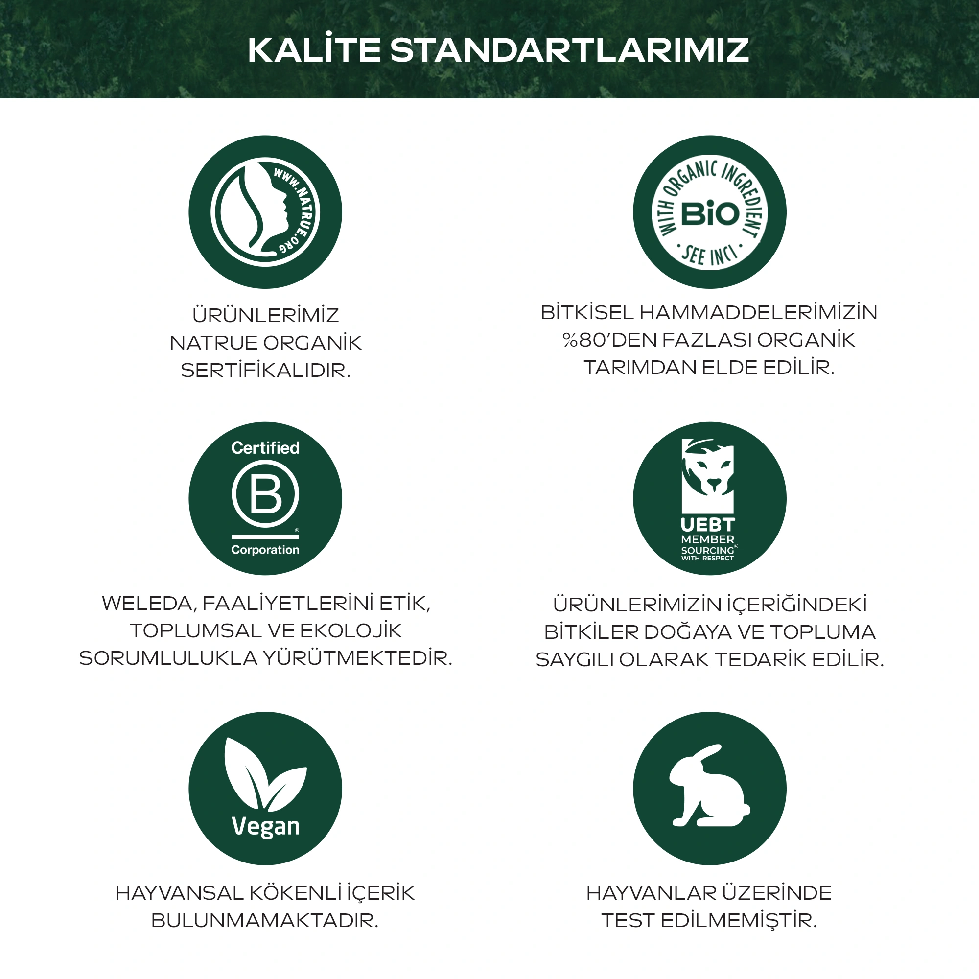 Weleda Calendula Özlü Bitkisel Sabun 100gr - 5