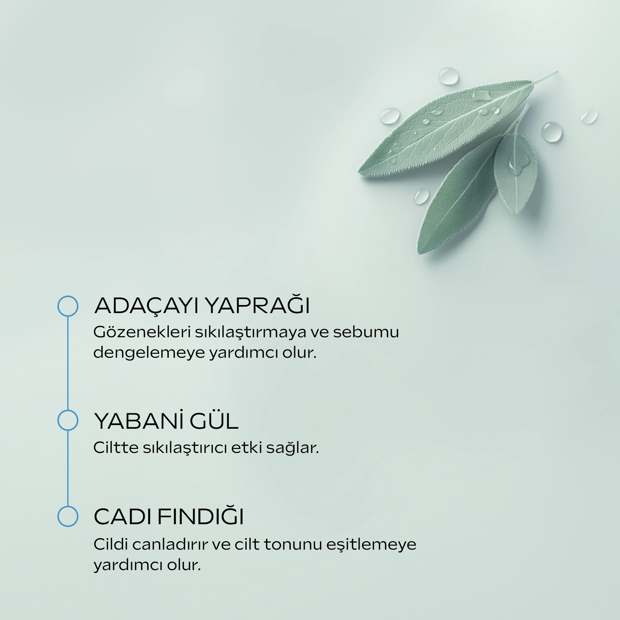 Weleda Refining Hydra Toner Organik Arındırıcı ve Nemlendirici Tonik 150 ml - 3
