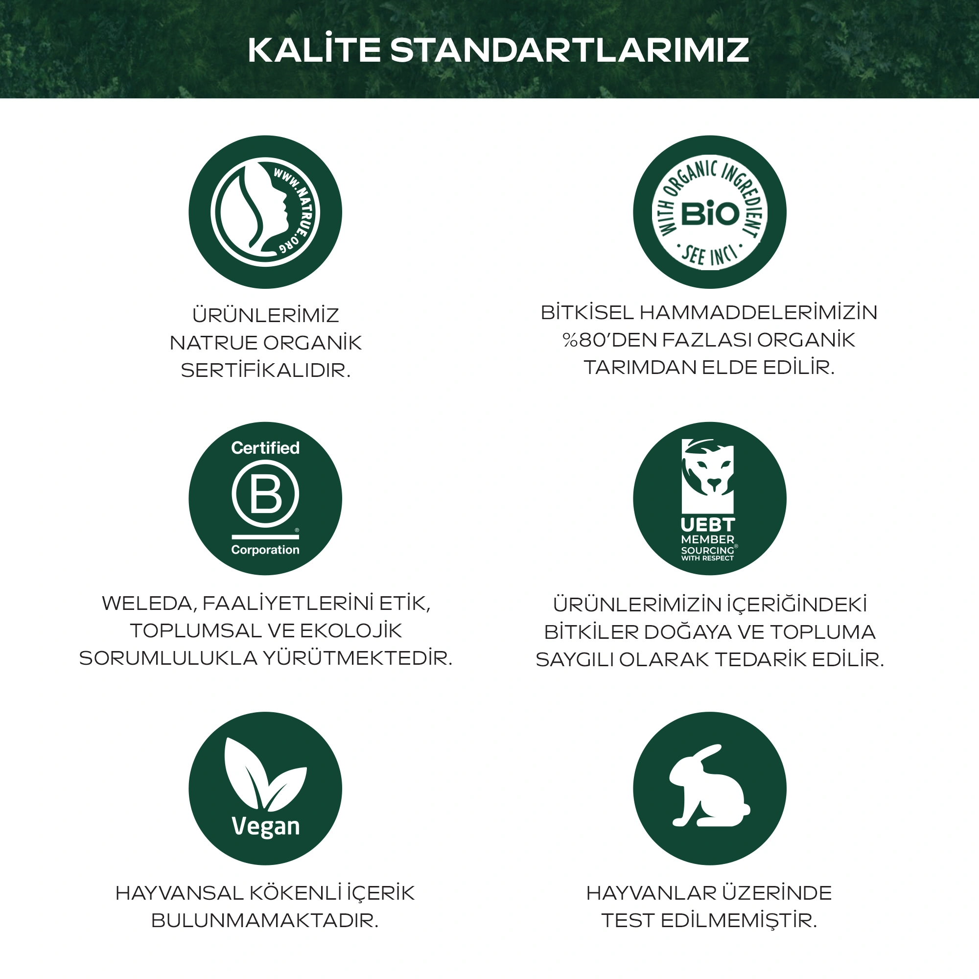 Weleda Refining Hydra Toner Organik Arındırıcı ve Nemlendirici Tonik 150 ml - 7