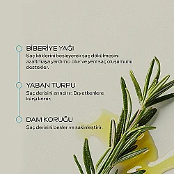 Weleda Revitalizing Hair Toner Organik Biberiye Özlü Canlandırıcı Saç Toniği 100ml - 3