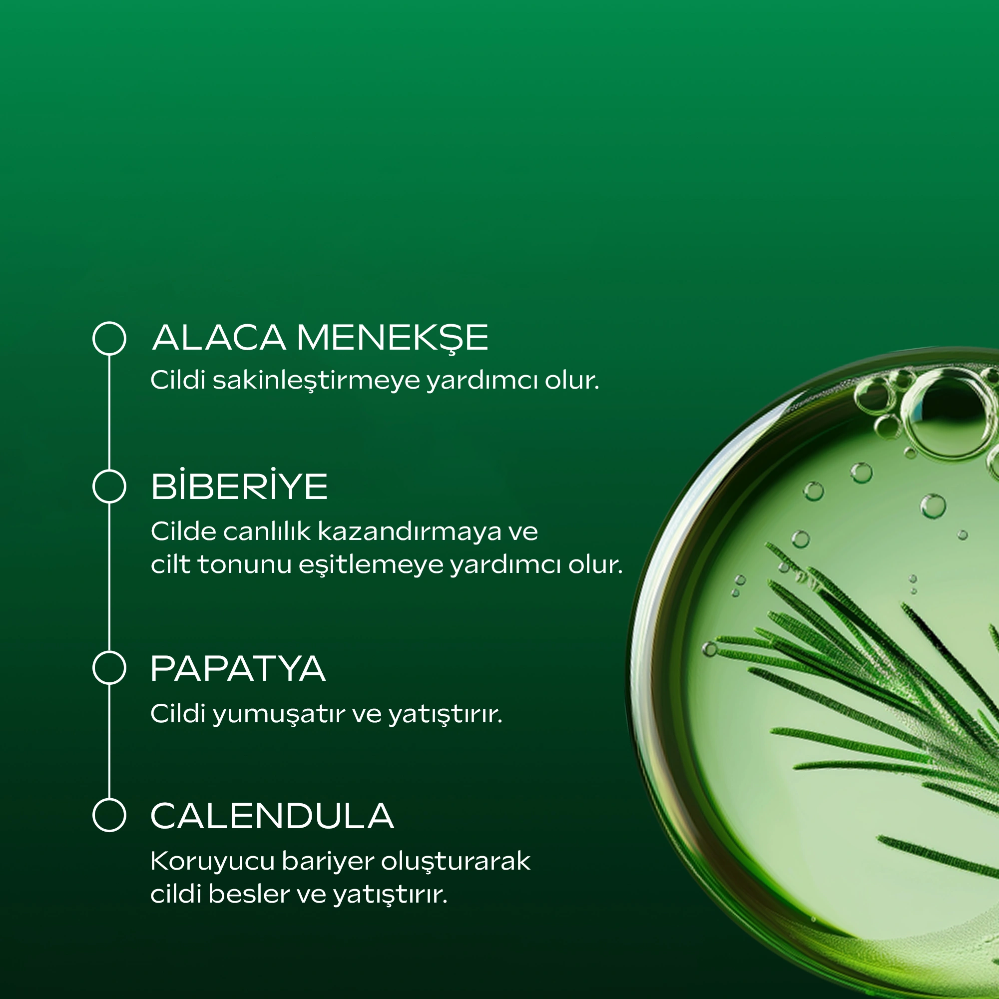 Weleda Skin Food Body Lotion Organik Nemlendirici Vücut Losyonu 250ml - 3