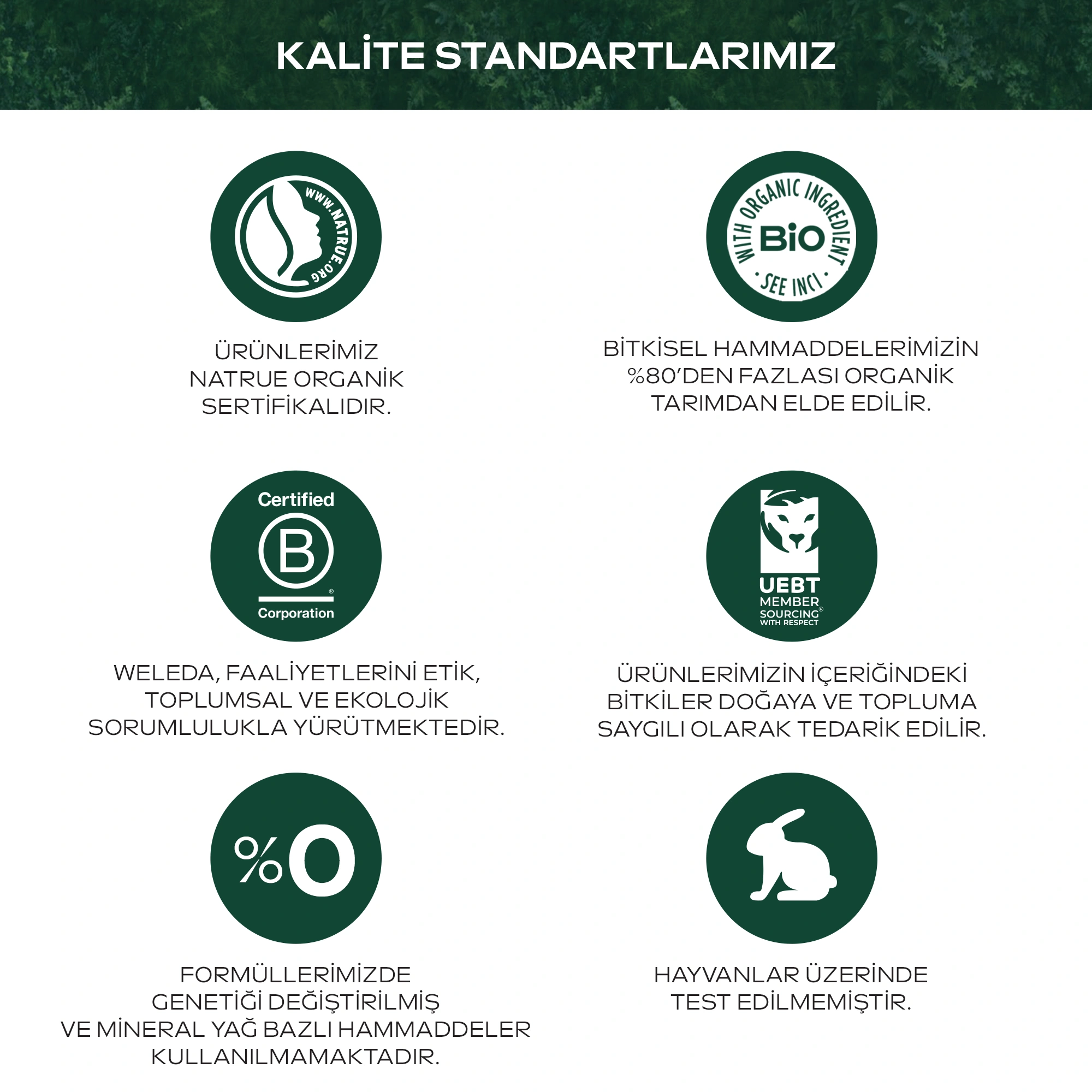 Weleda Skin Food Light Normal ve Kuru Ciltler İçin Nemlendirici ve Besleyici Organik Bakım Kremi 75 ml - 8