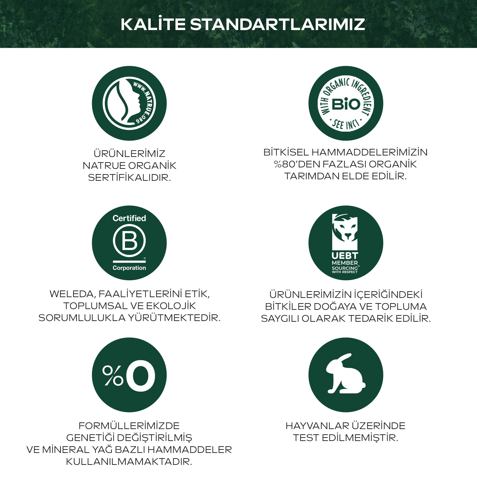 Weleda Skin Food Çok Kuru ve Kuru Ciltler İçin Nemlendirici ve Besleyici Organik Bakım Kremi 75ml - 7