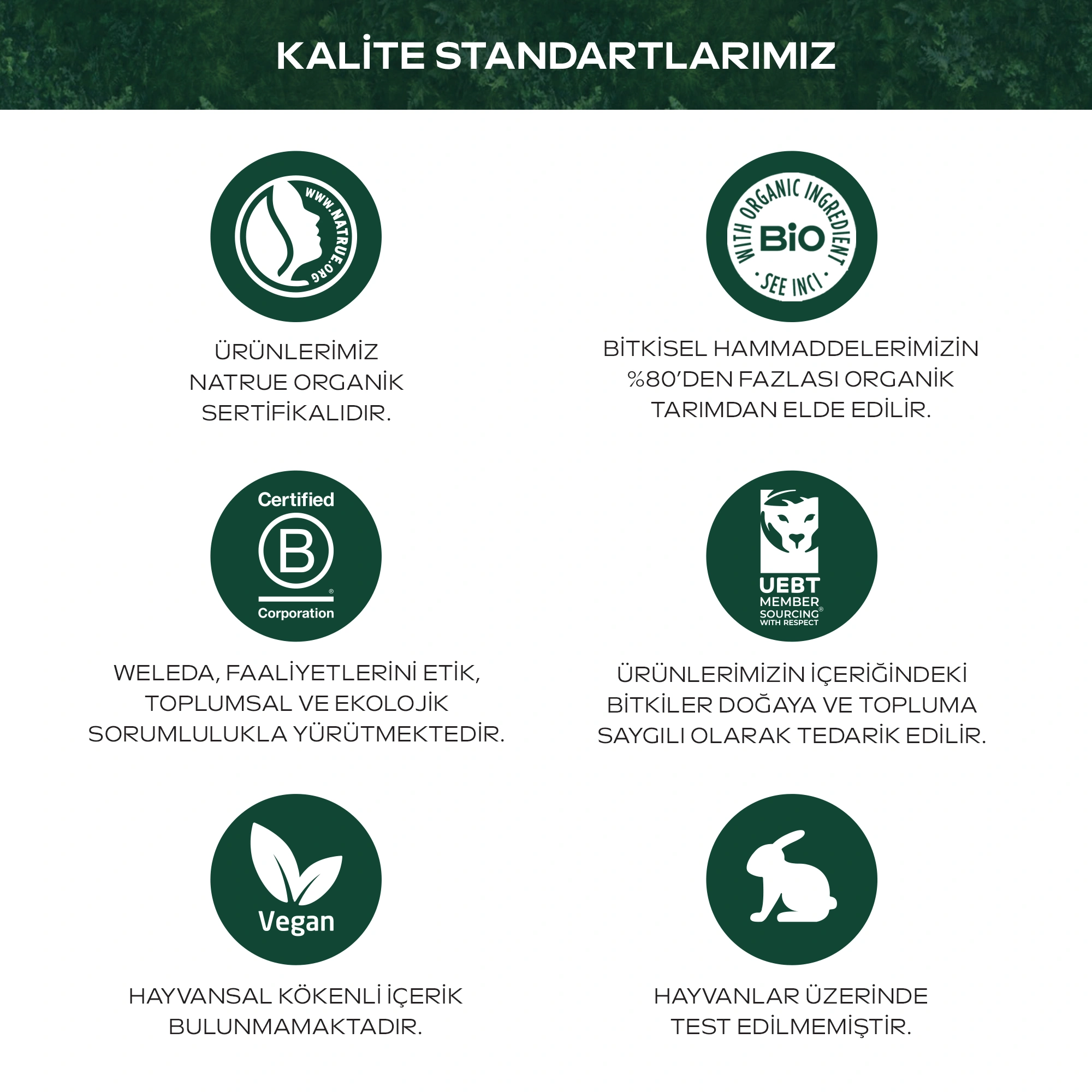 Weleda Skin Food Ultra-Light Dry Oil Organik Nemlendirici Ultra Hafif Kuru Yağ 100ml - 7