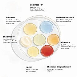 Wiwify Hydrating Lip Balm SPF 15 – Şeffaf & Parlak Bitişli Güneş Korumalı Dudak Balmı 15 ml - 4
