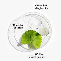 WIWIFY Yoğun Nemlendirici & Onarıcı Vücut Kremi 500ml - Wiwify (1)